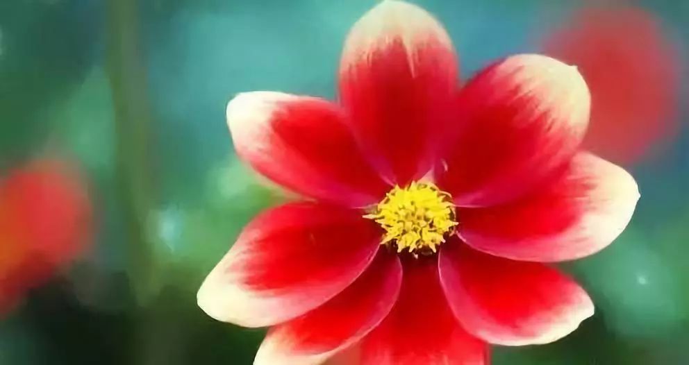 哲理小故事大启发短篇,课堂演讲的哲理小故事大启发