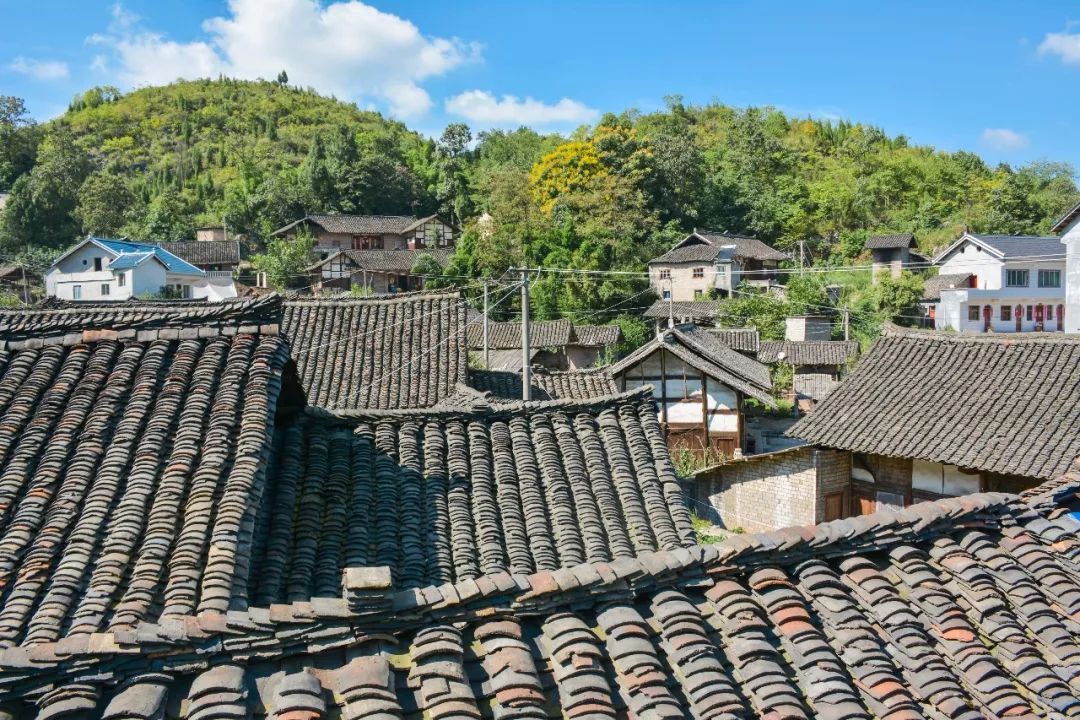 周末陪家人游大自然,周末陪家人到郊外游玩