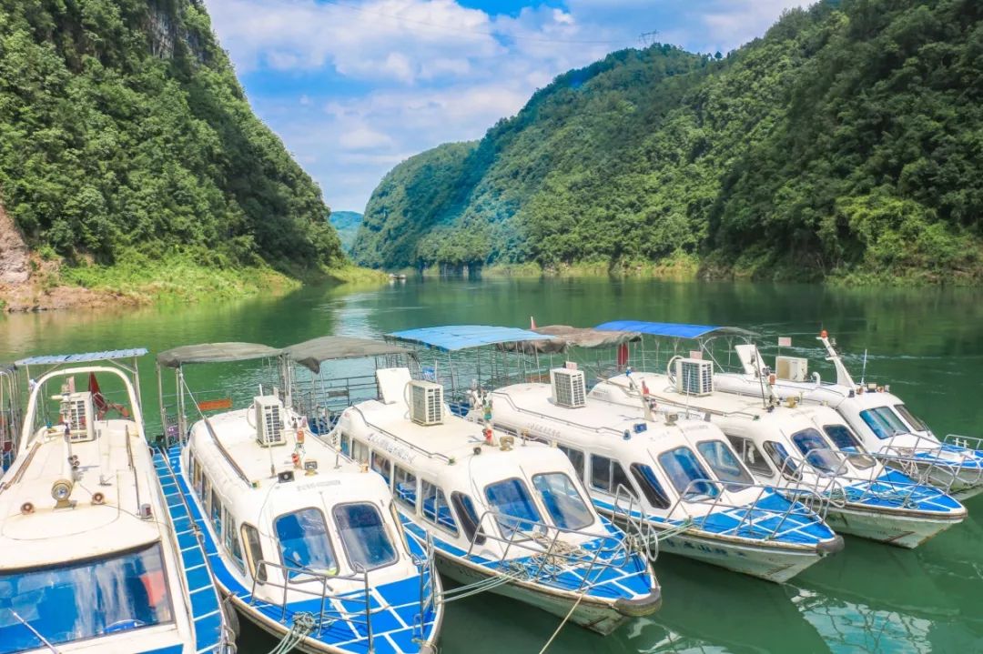 周末陪家人游大自然,周末陪家人到郊外游玩