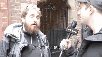 国内外宠物领养问题有哪些,很好的宠物为什么免费领养