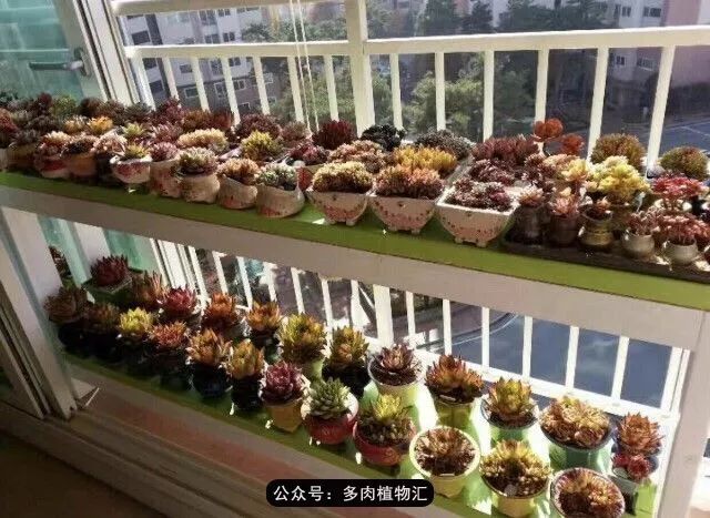 阳台如何让它变得很漂亮,怎么让阳台能种更多花