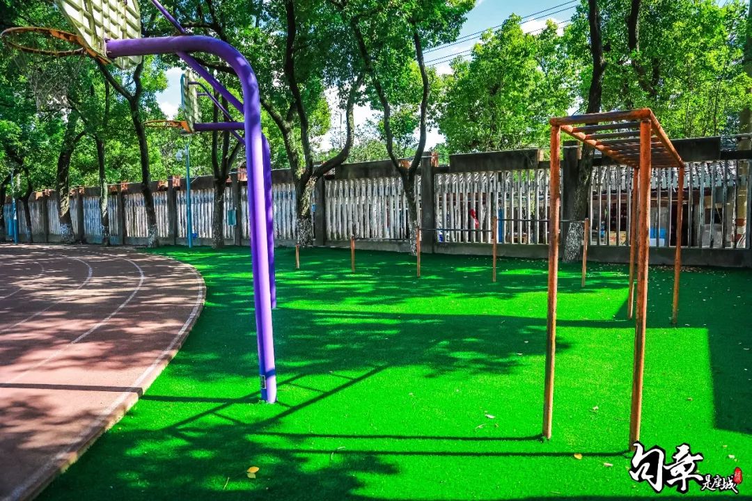 东横街老店的最后一天，我回到了中城小学