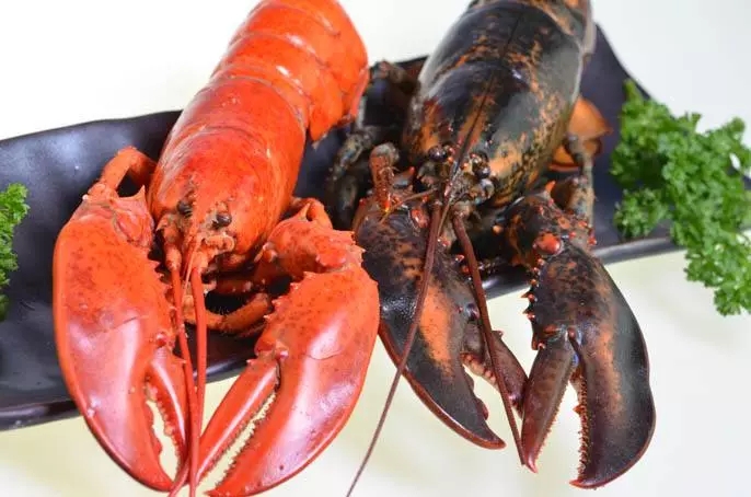 全民可炒的“期货蟹”，传统经销商正在被革命，你的钱包到底养活了谁？