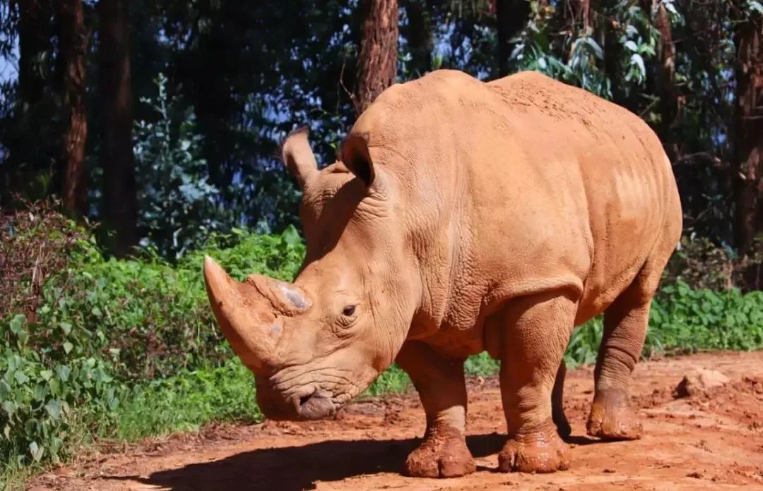 畅玩云南,畅玩永鸿动物园