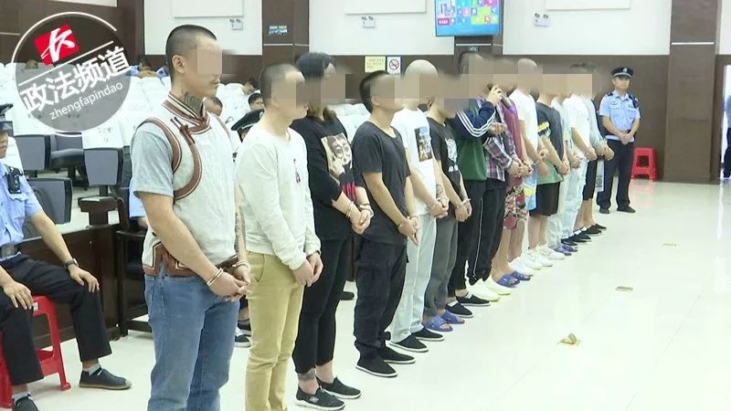 惊呆！自建温室大棚种*麻大**，这伙人栽了