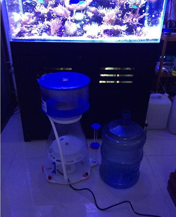 1.5米的大缸,1.5米大缸溪流造景