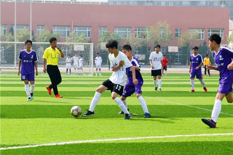 泰达足球学校,泰达中小学篮球比赛