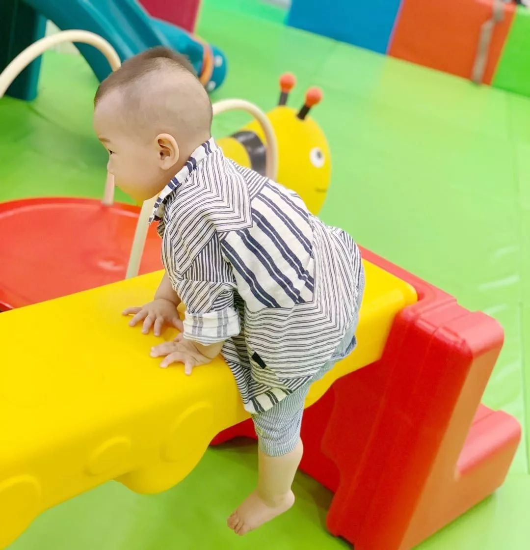 巧虎kids早教介绍,巧虎kids早教抖音团购