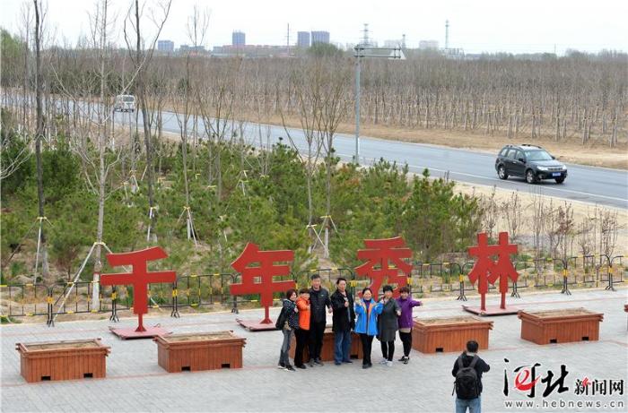 大河之北森林图片,大河之北原唱完整版