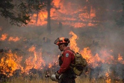 遇到火灾怎么逃生,发生火灾遇有浓烟时应如何逃生