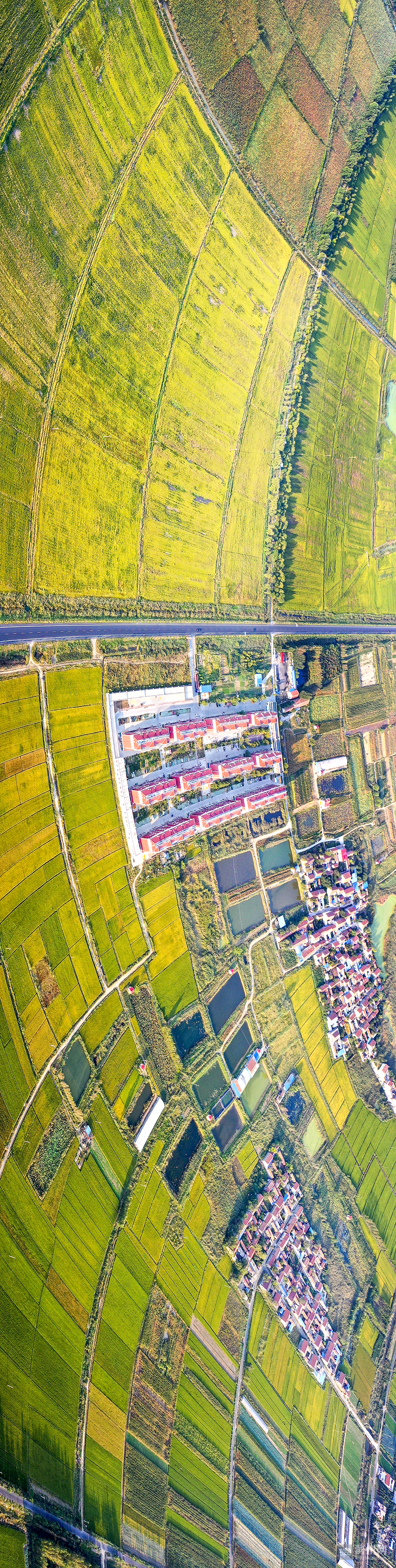 飞越滨州高新区：改革先行区厚植沿黄“城市之肺”