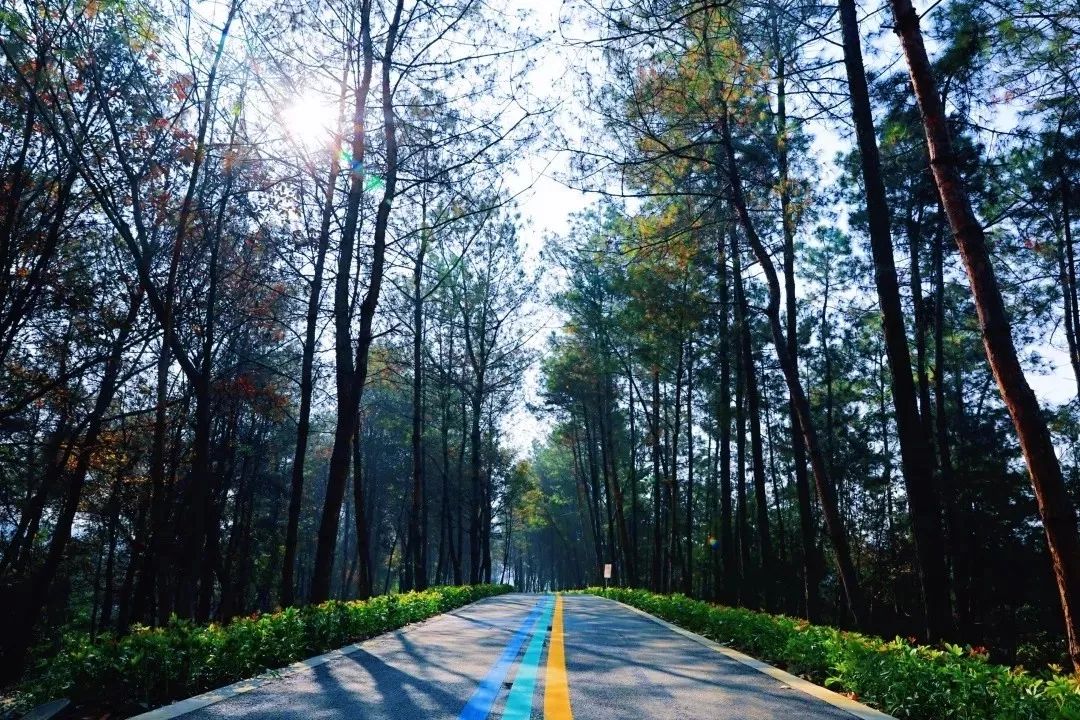 成都双流区旅游省钱攻略推荐,五一在双流适合去哪旅游