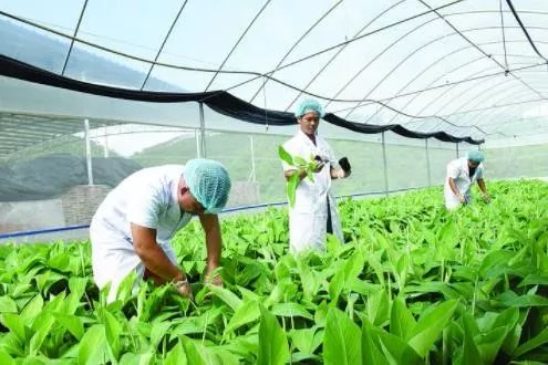 壮丽70年奋斗新时代在哪看,壮丽70年彰显新魅力