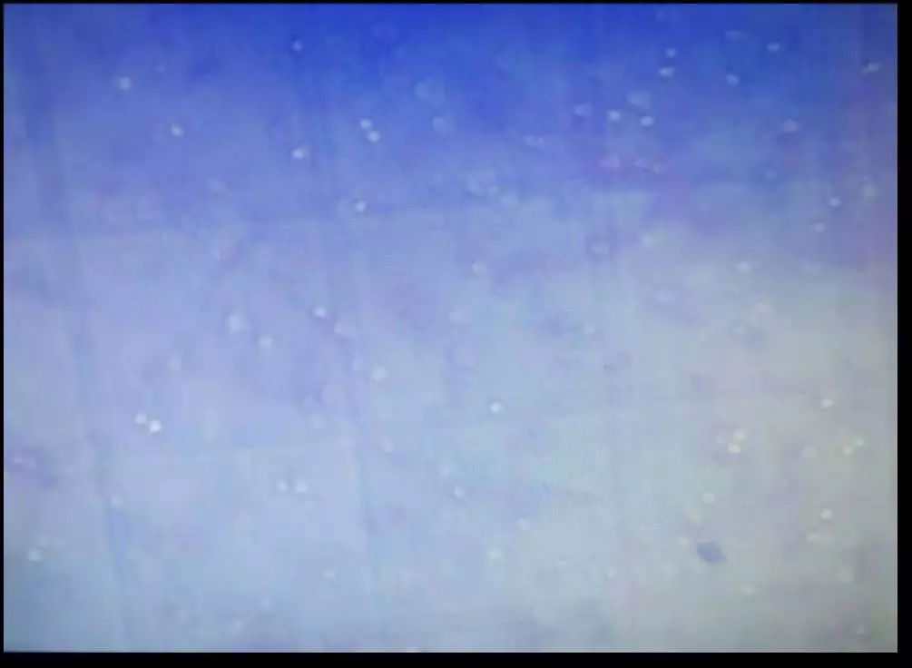 捐献干细胞详细过程感谢信,造血干细胞移植合集