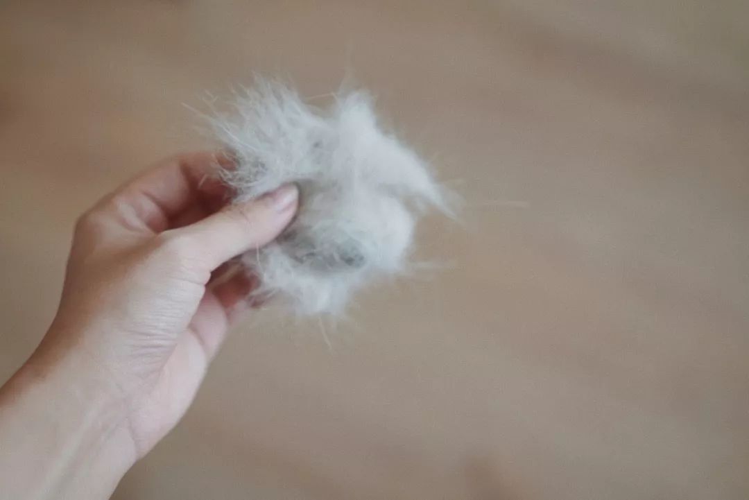 HomewithSS|家的进化论