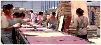 板材十大品牌教你装修板材怎么选,如何从环保角度选择家装板材