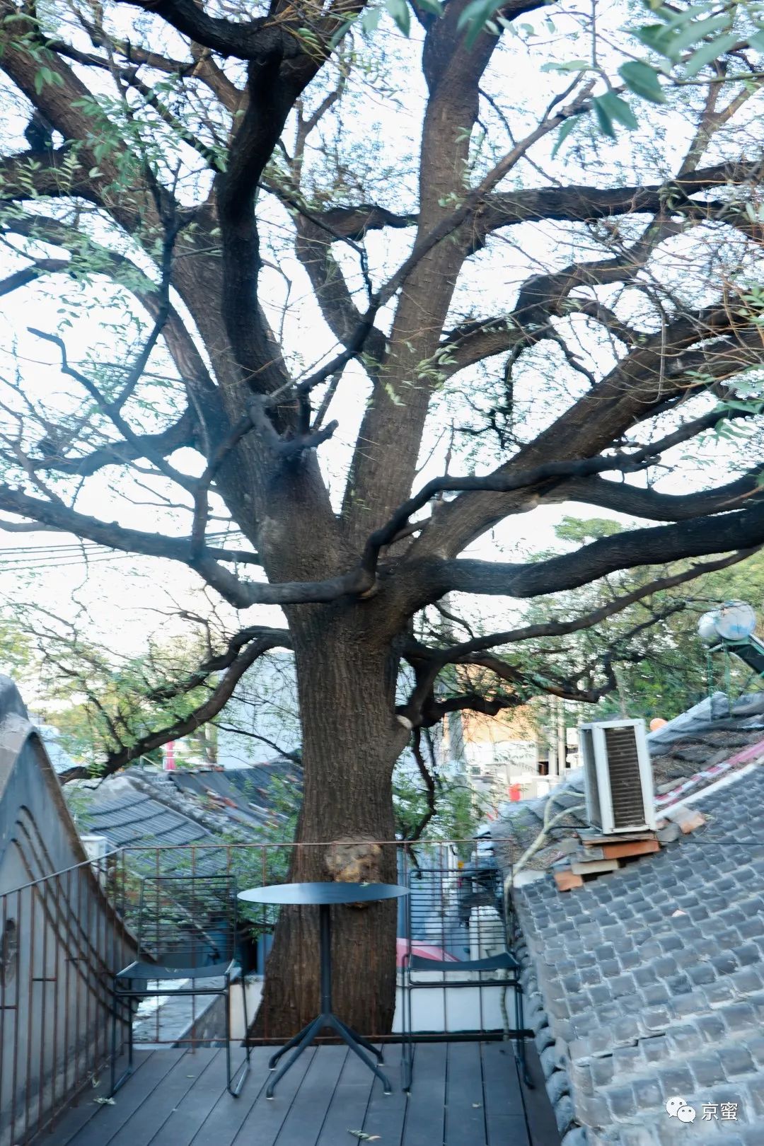 北京特色民宿攻略,玩转北京旅游攻略视频大全