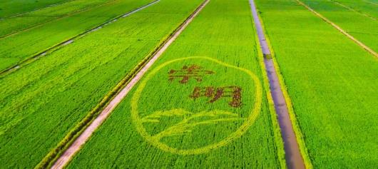 一座城，十六个区，4分20秒带你看航拍上海