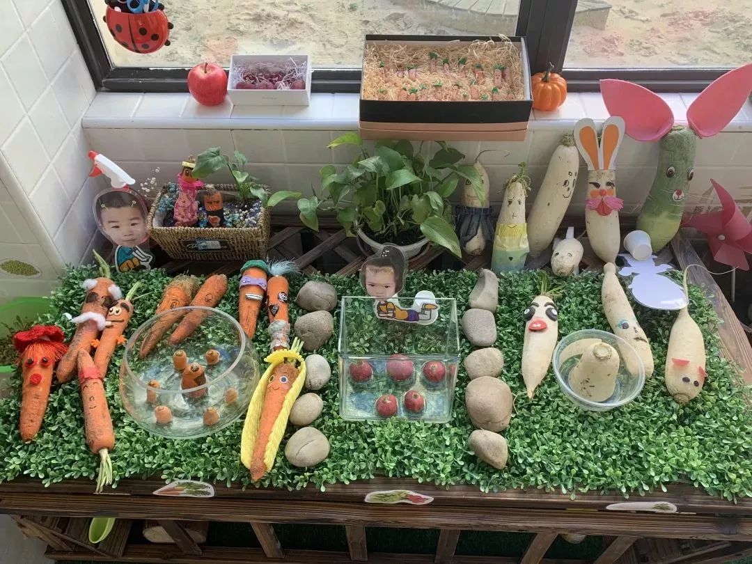 学校热点1|金阳幼儿园：走廊里的“绿”Party