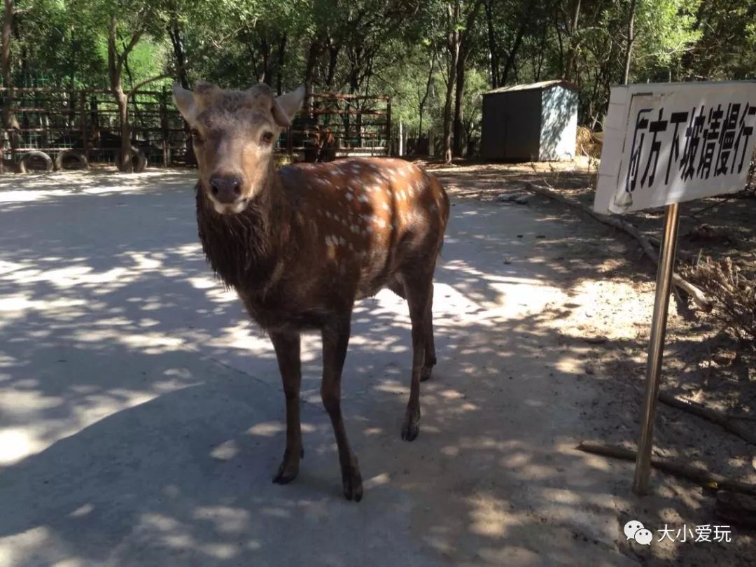 十一北京好玩的地方推荐带孩子去,北京十一旅游好玩的地方推荐一下