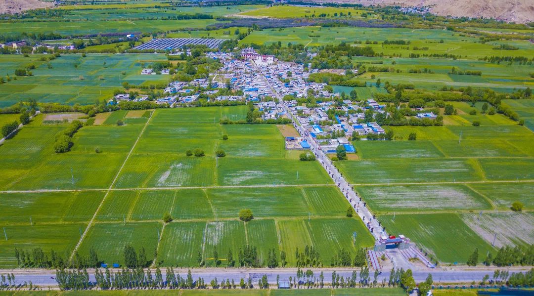 山南最美的沟,山南几月份最美