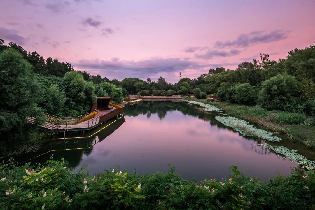 design国际设计大奖,中国设计智造大奖结果