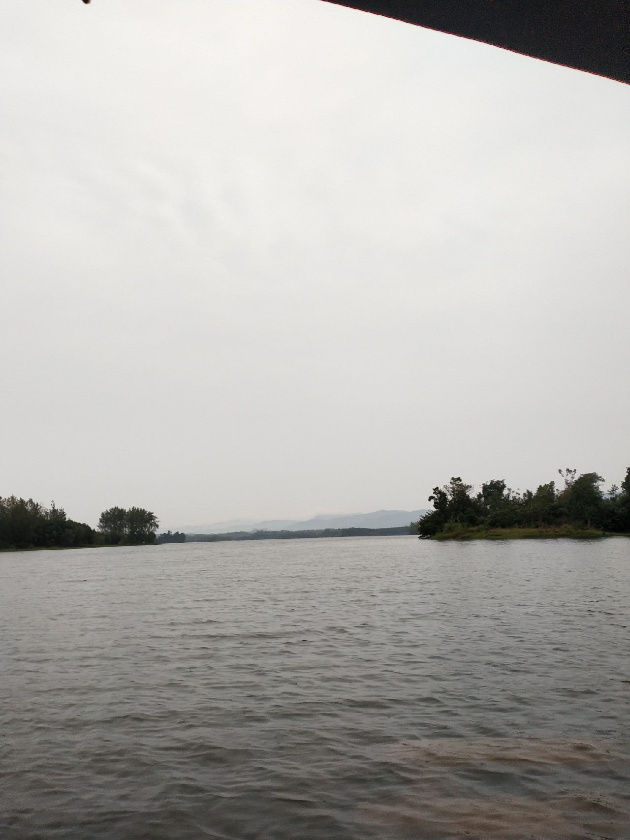 无奈捅了奶鲤窝连竿连得怀疑人生