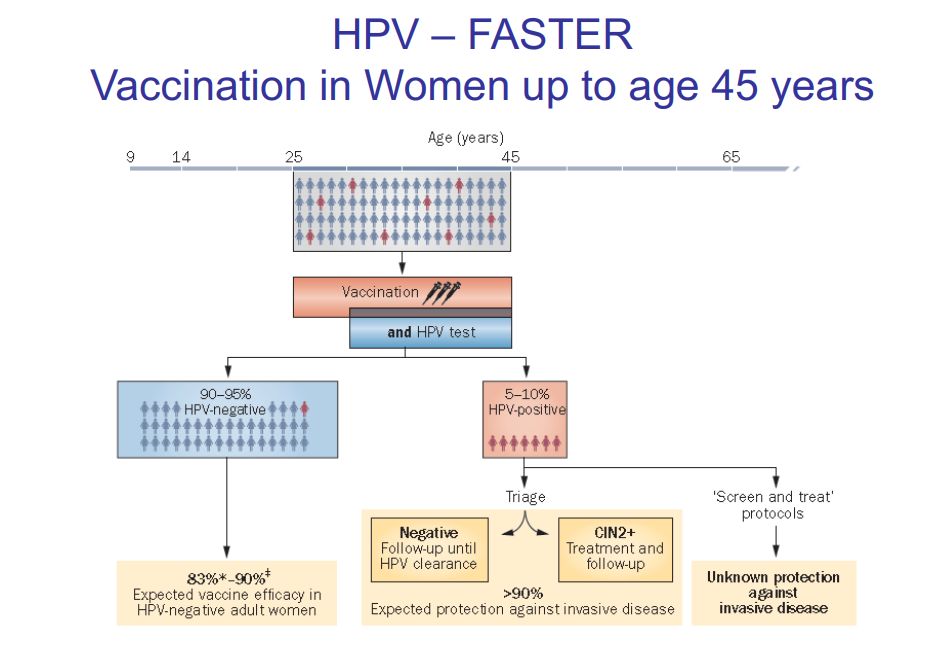 hpv疫苗保护效力解读,hpv疫苗适宜年龄