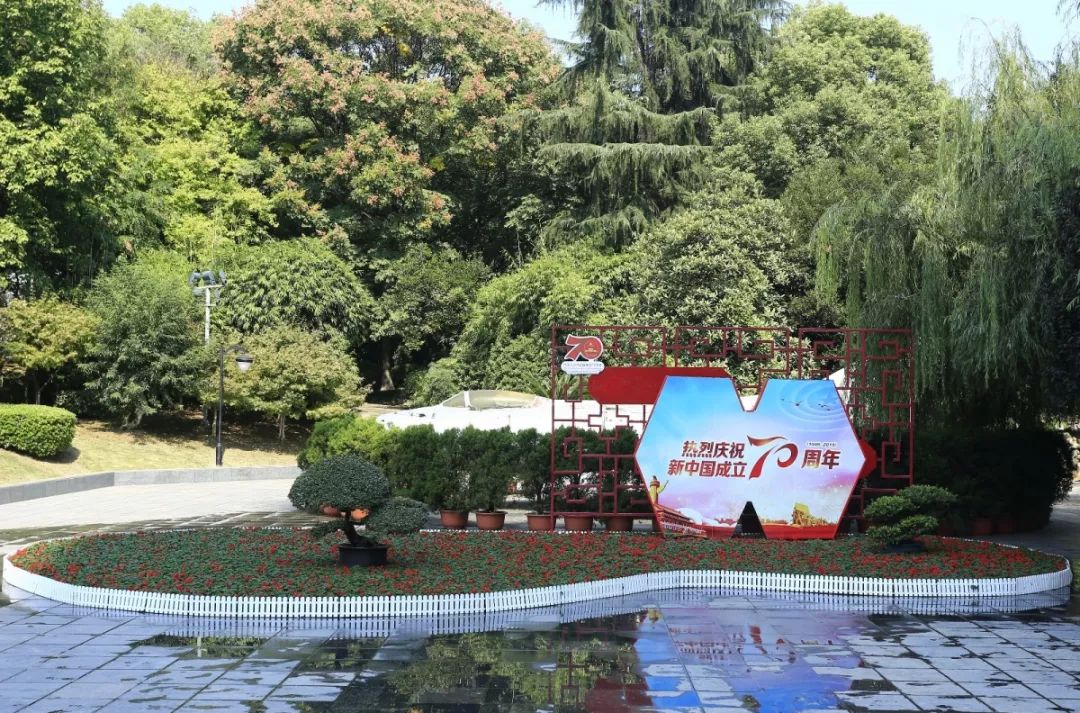 花漾宜昌如此美丽！44万盆鲜花全城绽放