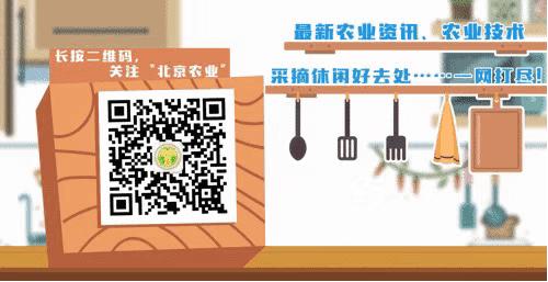 农村农业有效投资政策,农业农村部鼓励投资农业