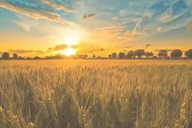 年内建成赵巷公园、翔江公园等5座公园,实现“百个公园”目标!“美丽嘉定”愈发精秀怡人