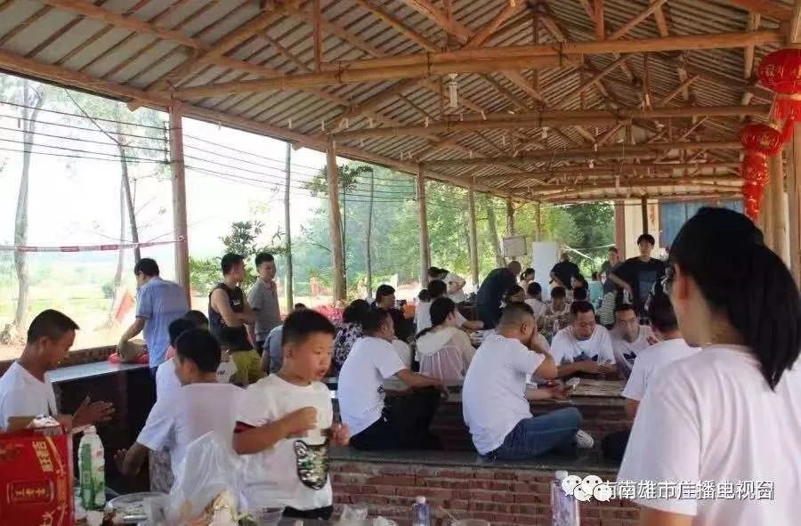 农村生态旅游景区生态休闲好去处,乡村生态旅游火热