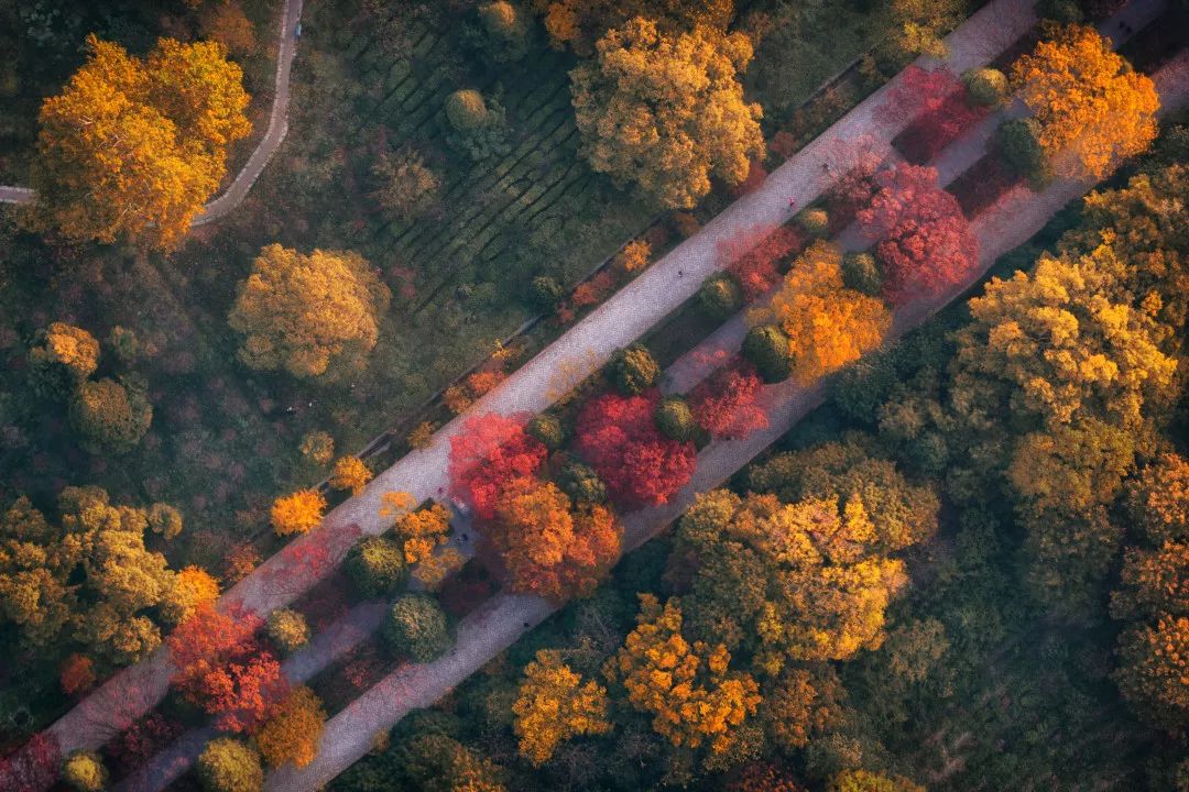 今天寒露具体时间,2019寒露开始时间