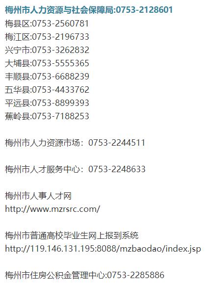 新手通讯录,通讯录必备东西