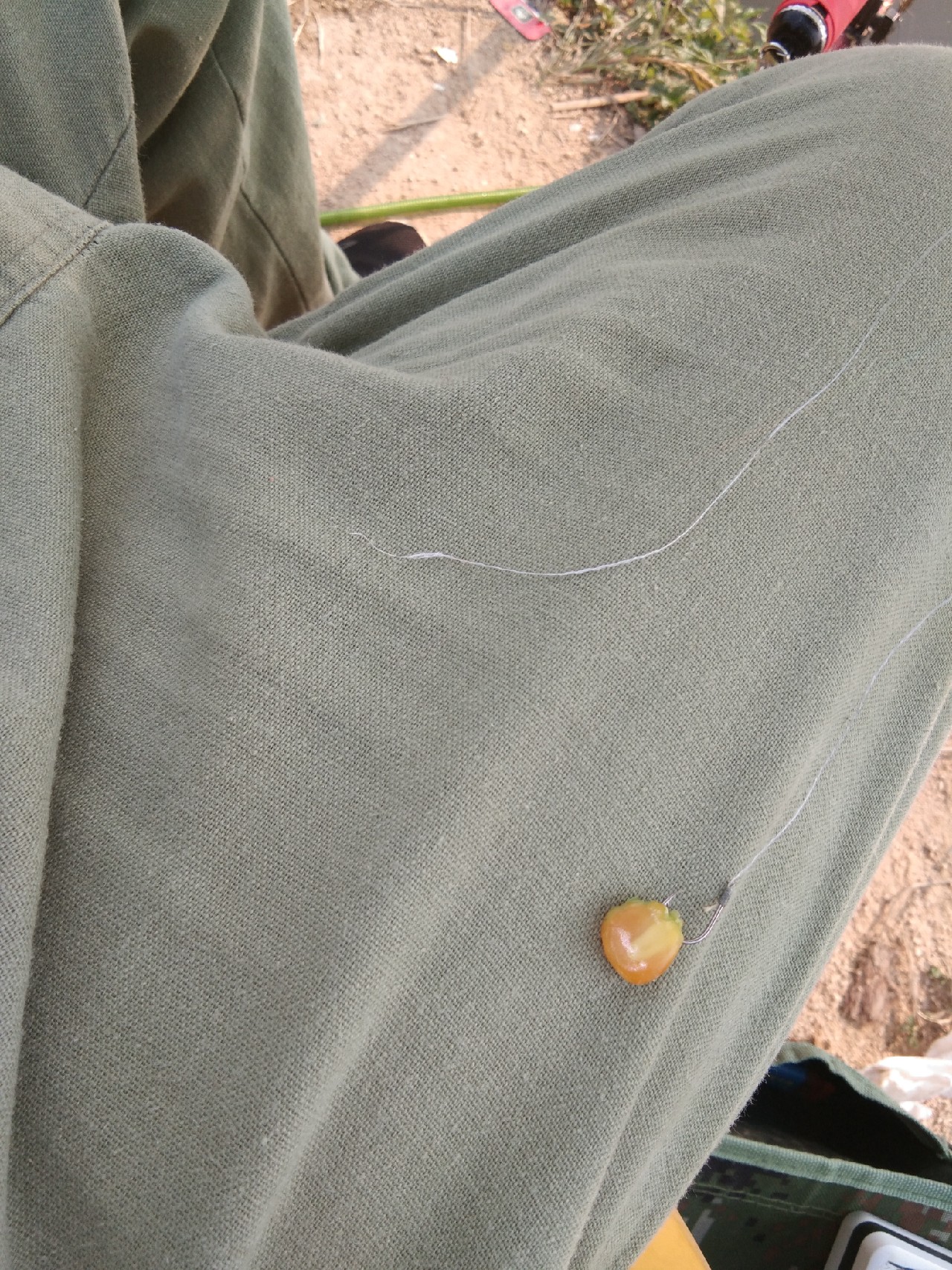 淡水白鲳秋天怎么钓,串钩钓淡水白鲳