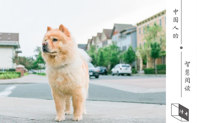 10个支撑你熬过苦难的励志的句子,九句话支撑你熬过最难熬的日子