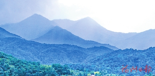 黄楮林在哪里,福建闽清黄楮林