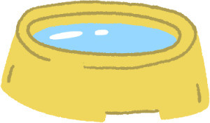 带孩子踏浪看海,带娃踏浪看海