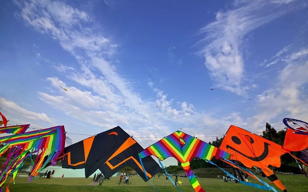 上海风筝大赛,松江举办大型比赛