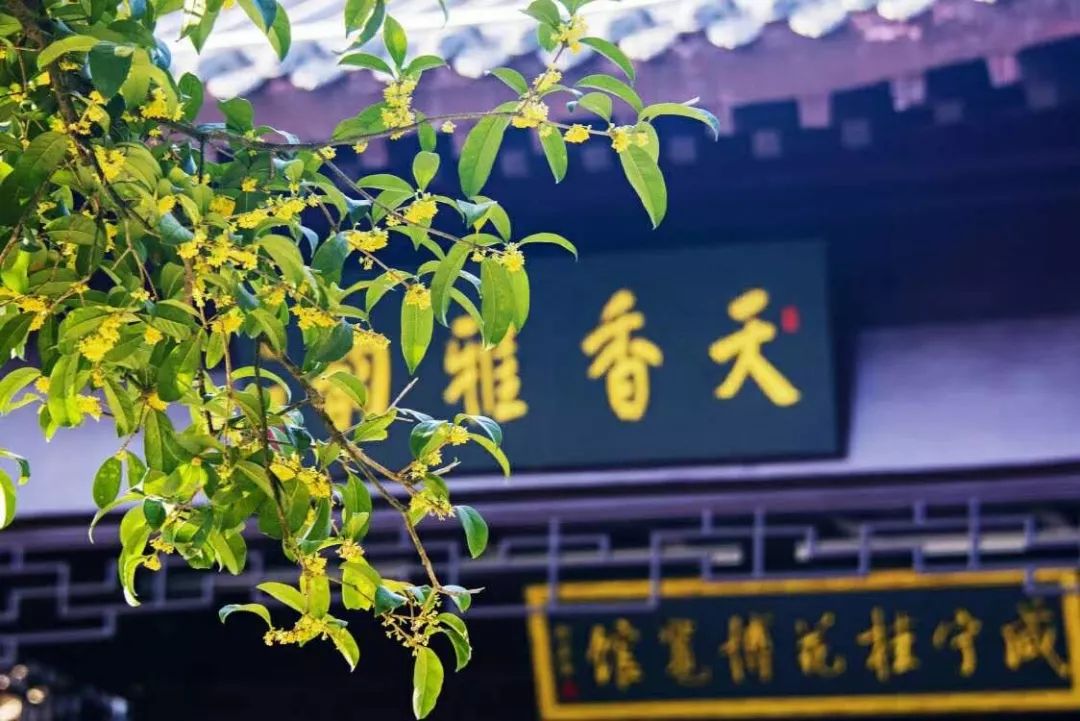 中国温泉之首,中国十大温泉之都