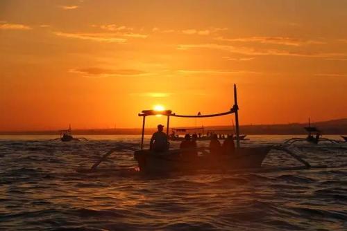 巴厘岛国际志愿者旅游,全民调查巴厘岛凶案恐慌还是猎奇