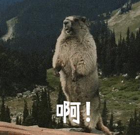 又见梧桐诗词,又见梧桐飘絮完整版