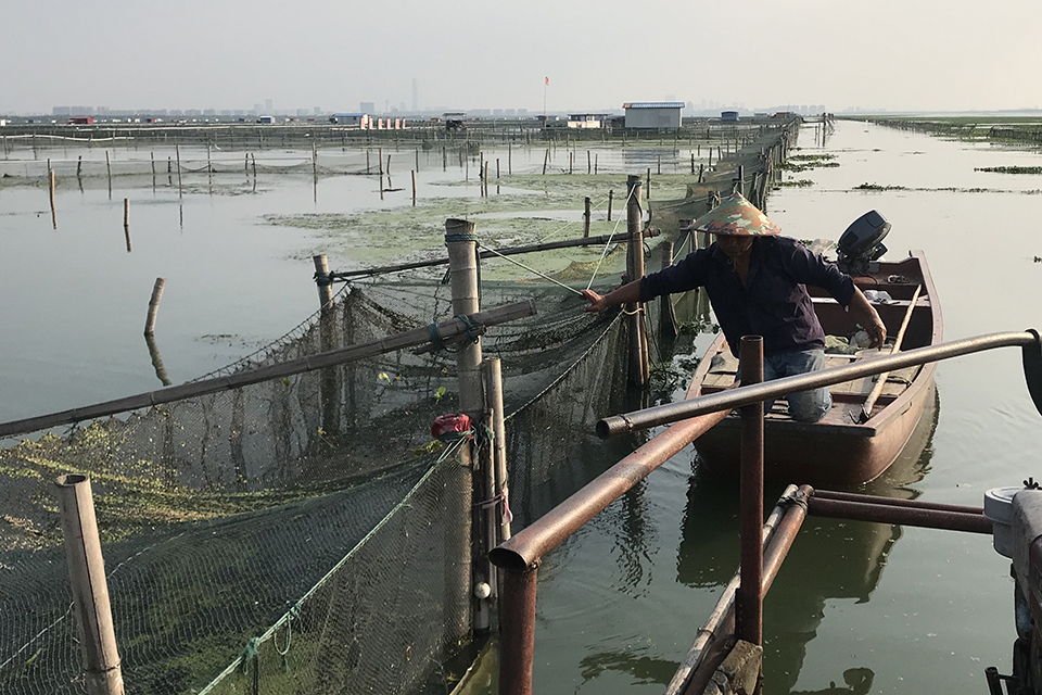 让路环保，户口难上，纸蟹横飞