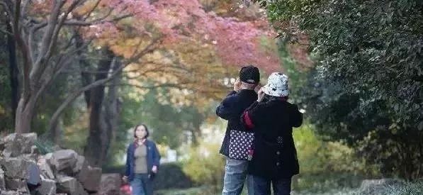 秋风渐凉的注意事项,秋分天凉了这三件事千万不要做