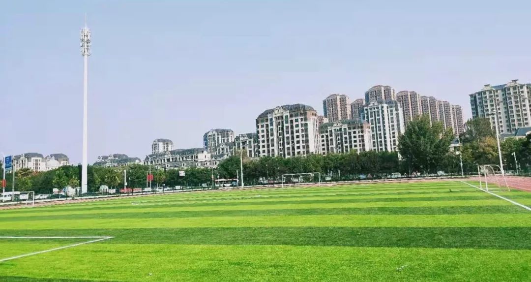 天津市今天新增的新消息,2020天津免费开放体育场