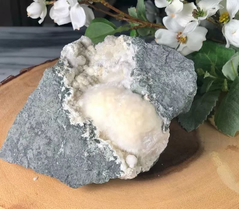 谁还不是个小可爱呢下一句,谁还不是小可爱