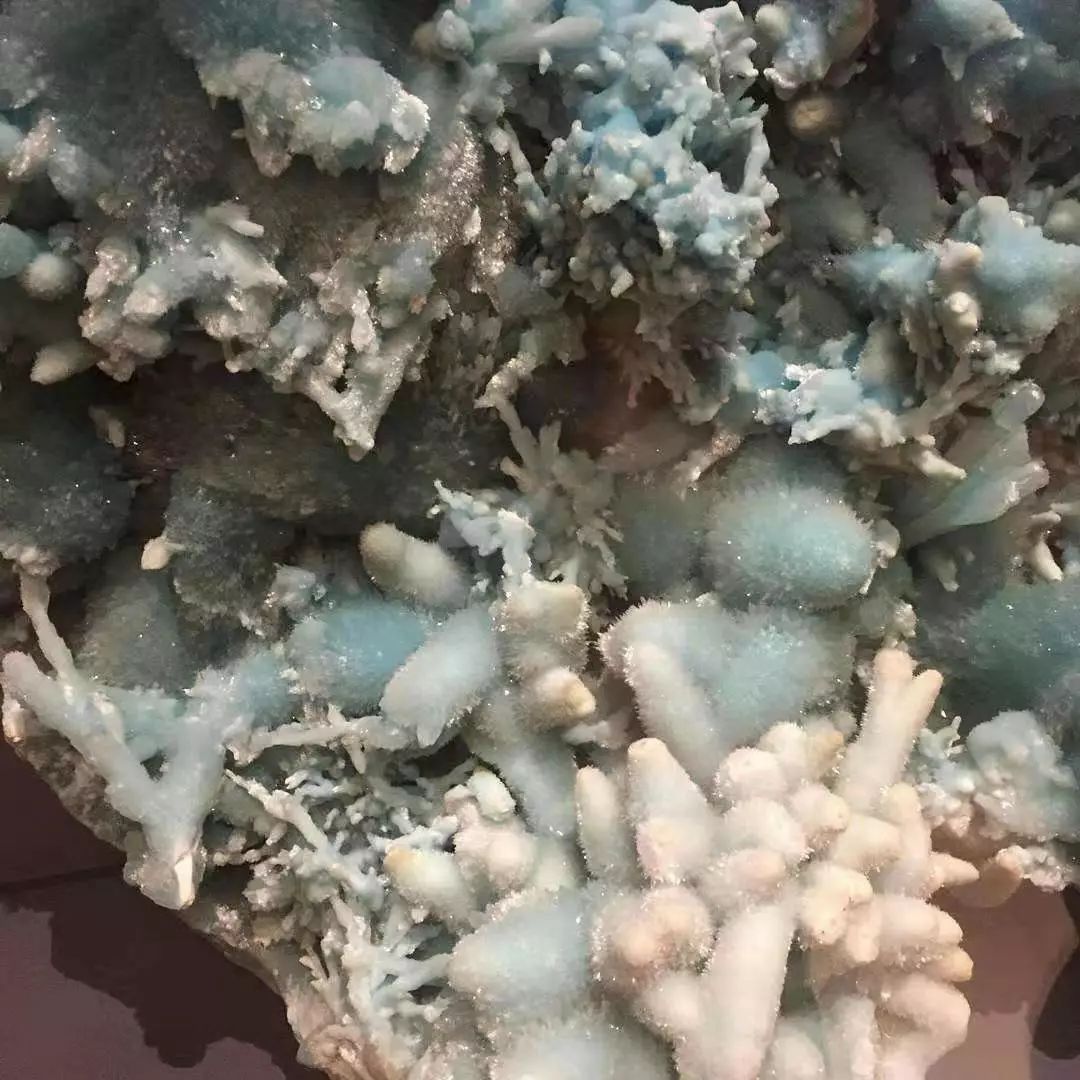 谁还不是个小可爱文案,谁小时候还不是个小可爱