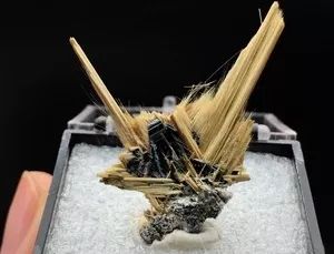 谁还不是个小可爱呢下一句,谁还不是小可爱