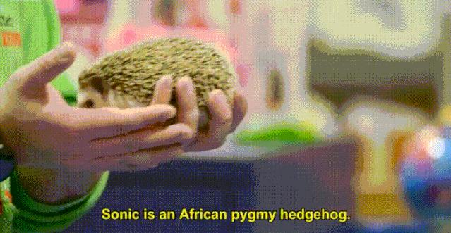 bbc苏格兰纪录片,bbc纪录片苏格兰