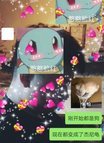 为什么叫杰尼龟,为什么杰尼龟被孤立